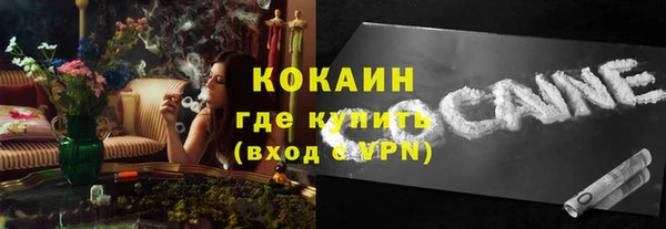 гашик Бородино