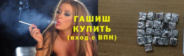 гашик Бородино