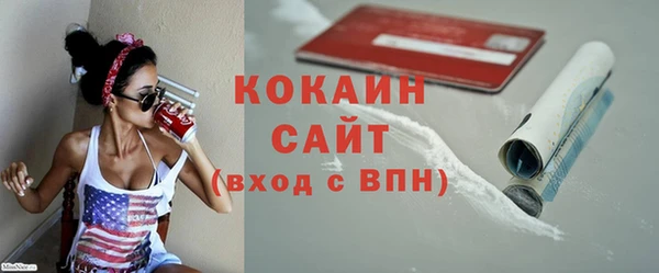 гашик Бородино