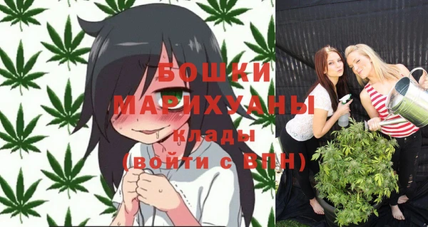 гашик Бородино