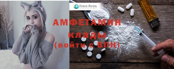 гашик Бородино