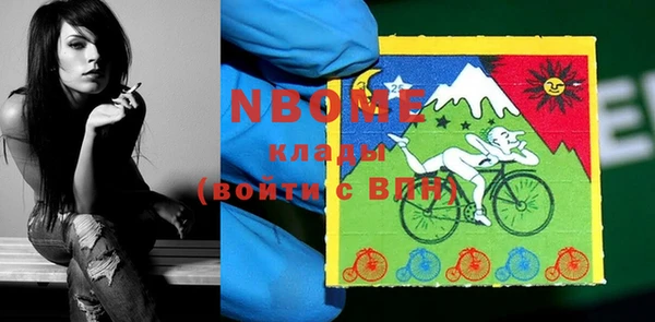 гашик Бородино