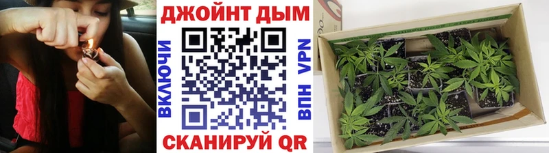 Купить где  Малоярославец  Конопля индика 